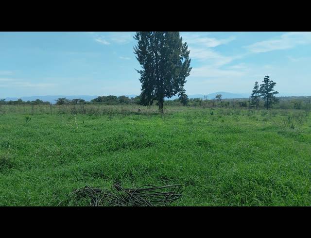 5HA FARM FOR SALE IN ELIM